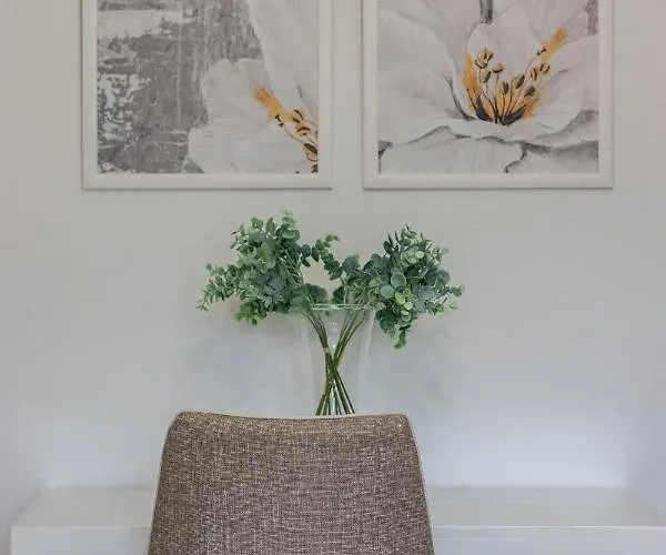 Amplio Y Luminoso En 公寓